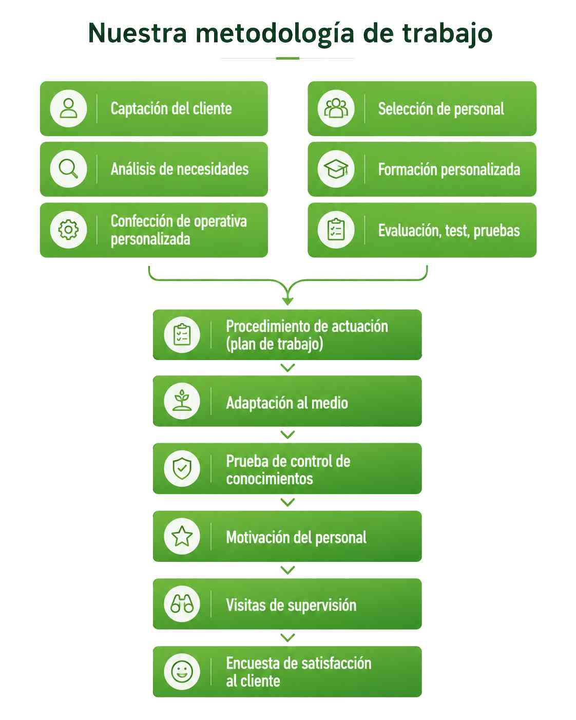 Manuales de operativa